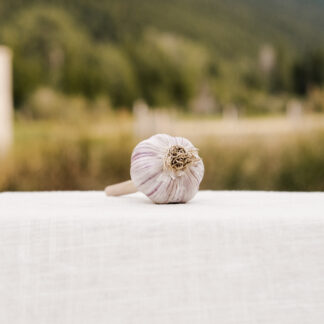 Dan's Italian Garlic