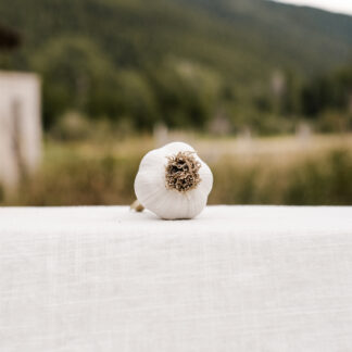 French Rocamoble Garlic